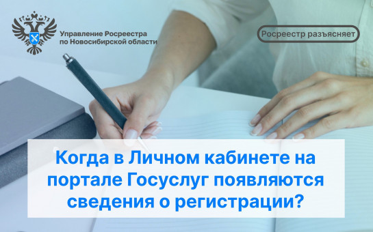 Когда в Личном кабинете на портале Госуслуг появляются сведения о регистрации